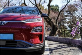 비엔나근교 차량 투어 비엔나 공인가이드