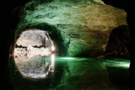 비엔나근교 투어 비엔나 공인가이드