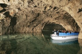 비엔나근교 투어 비엔나 공인가이드