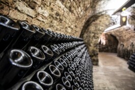 비엔나근교 투어 와이너리 비엔나 공인가이드