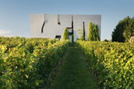 비엔나 공인가이드