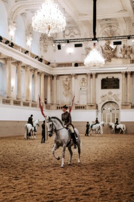 프라이빗 투어 비엔나 비엔나 공인가이드