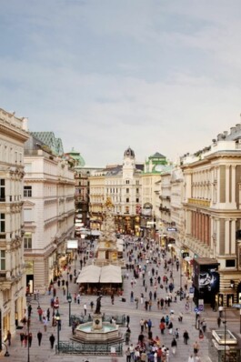 프라이빗 투어 비엔나 비엔나 공인가이드