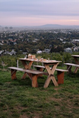 프라이빗 투어 비엔나 비엔나 공인가이드