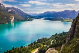 비엔나 공인가이드