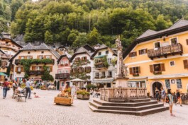 비엔나 공인가이드