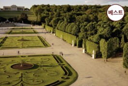  비엔나 공인가이드